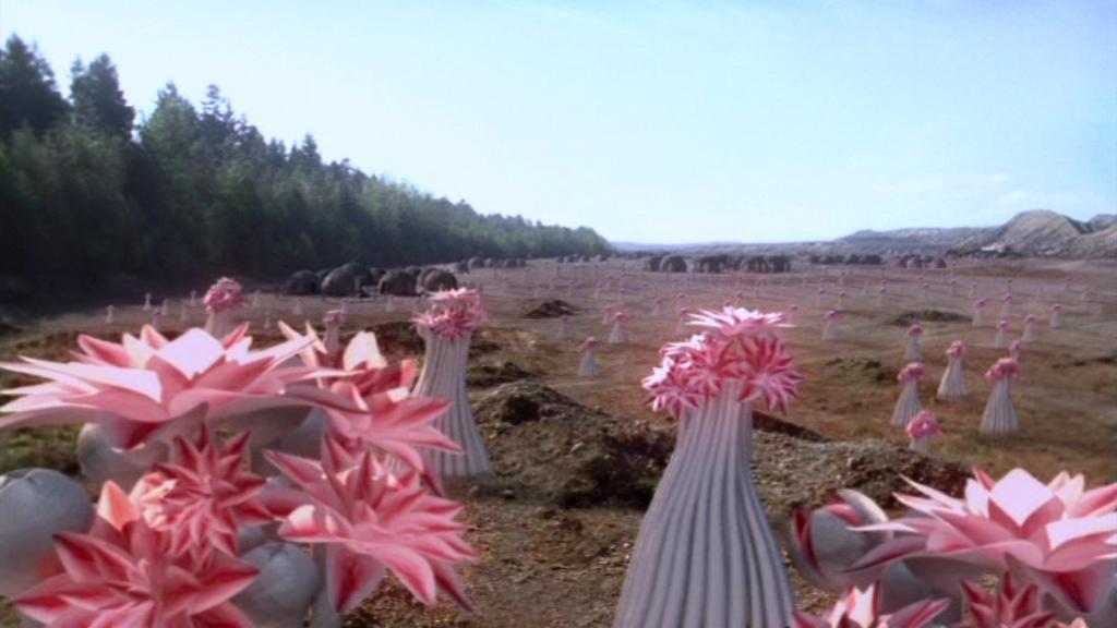 A landscape showing the alien huts in the background and strange pink flowers or fungi in the foreground in the Stargate SG-1 episode 'One False Step'.